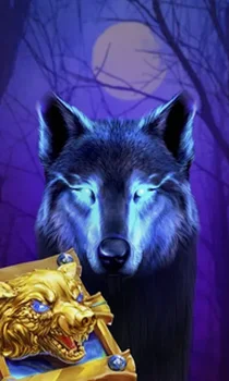 Book Of The Night Wolf
